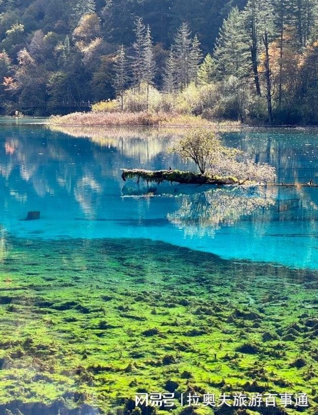 跟团游价格与四川五日游性价比分析收藏PG电子麻将胡了2试玩成都5天4晚(图2)